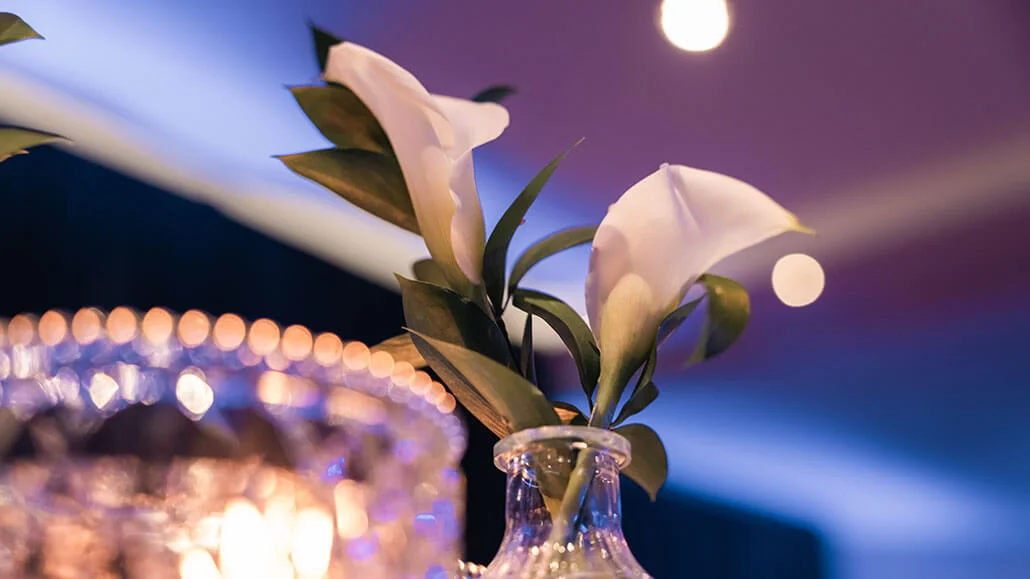 Burlington Convention Centre Social Events Gallery 5